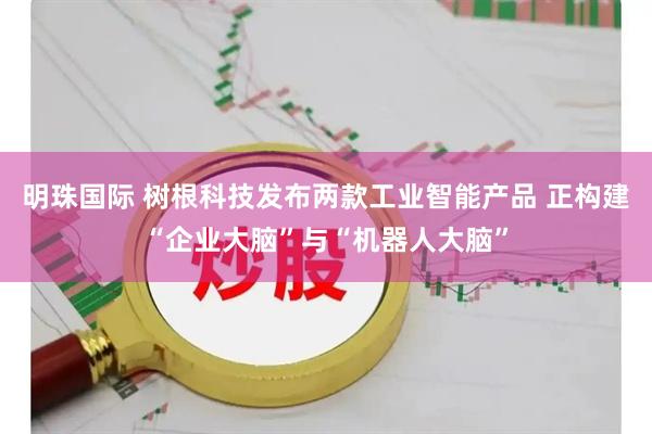 明珠国际 树根科技发布两款工业智能产品 正构建“企业大脑”与“机器人大脑”