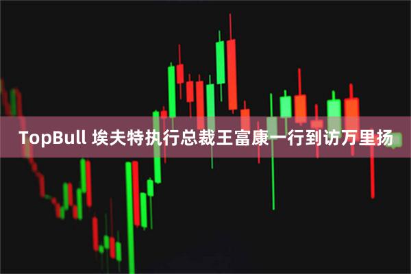 TopBull 埃夫特执行总裁王富康一行到访万里扬