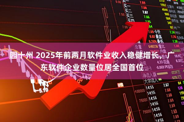 园十州 2025年前两月软件业收入稳健增长，广东软件企业数量位居全国首位