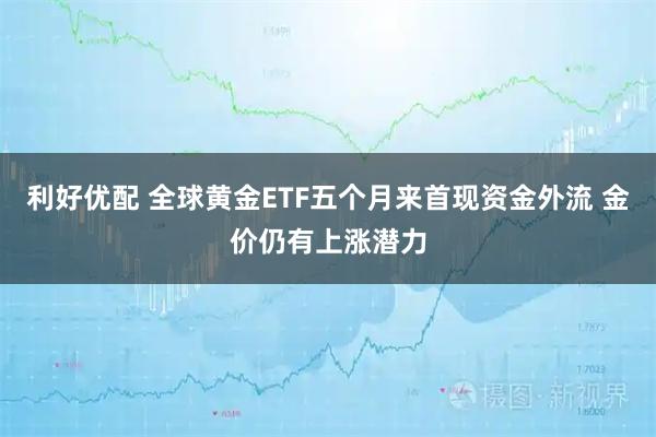 利好优配 全球黄金ETF五个月来首现资金外流 金价仍有上涨潜力