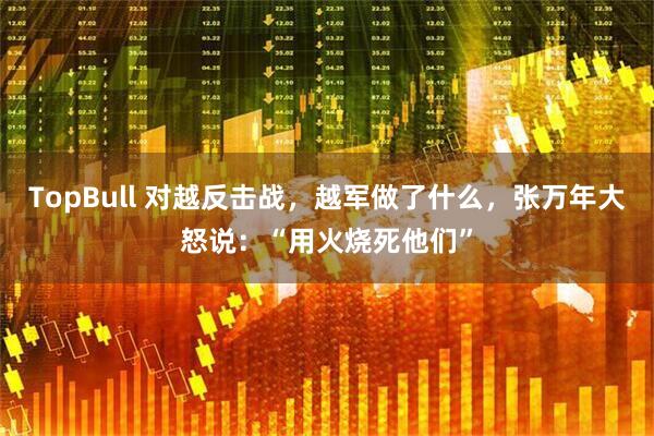 TopBull 对越反击战，越军做了什么，张万年大怒说：“用火烧死他们”
