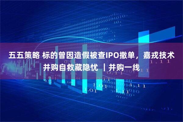 五五策略 标的曾因造假被查IPO撤单，嘉戎技术并购自救藏隐忧 ｜并购一线
